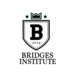 Agency Bridges Institute 