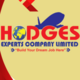 Agency HODGES EXPERTS COMPANYLIMITED